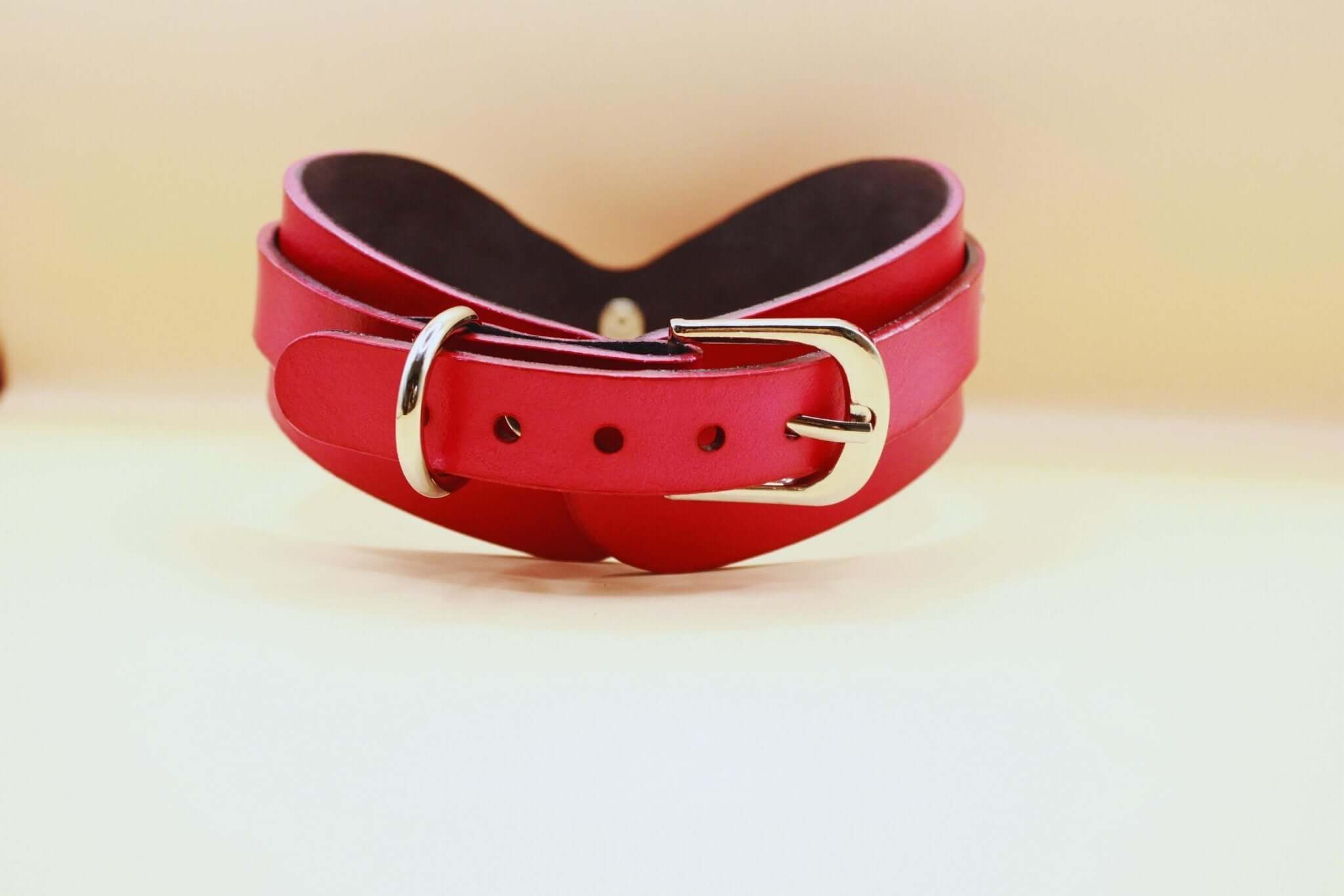 BDSM Collar for Petplay  Discreet BDSM Jewelry for Submissives